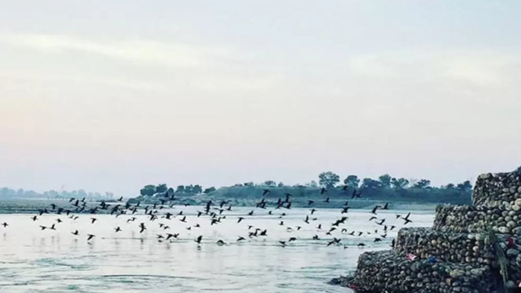 10 Best Places to Visit in Haridwar