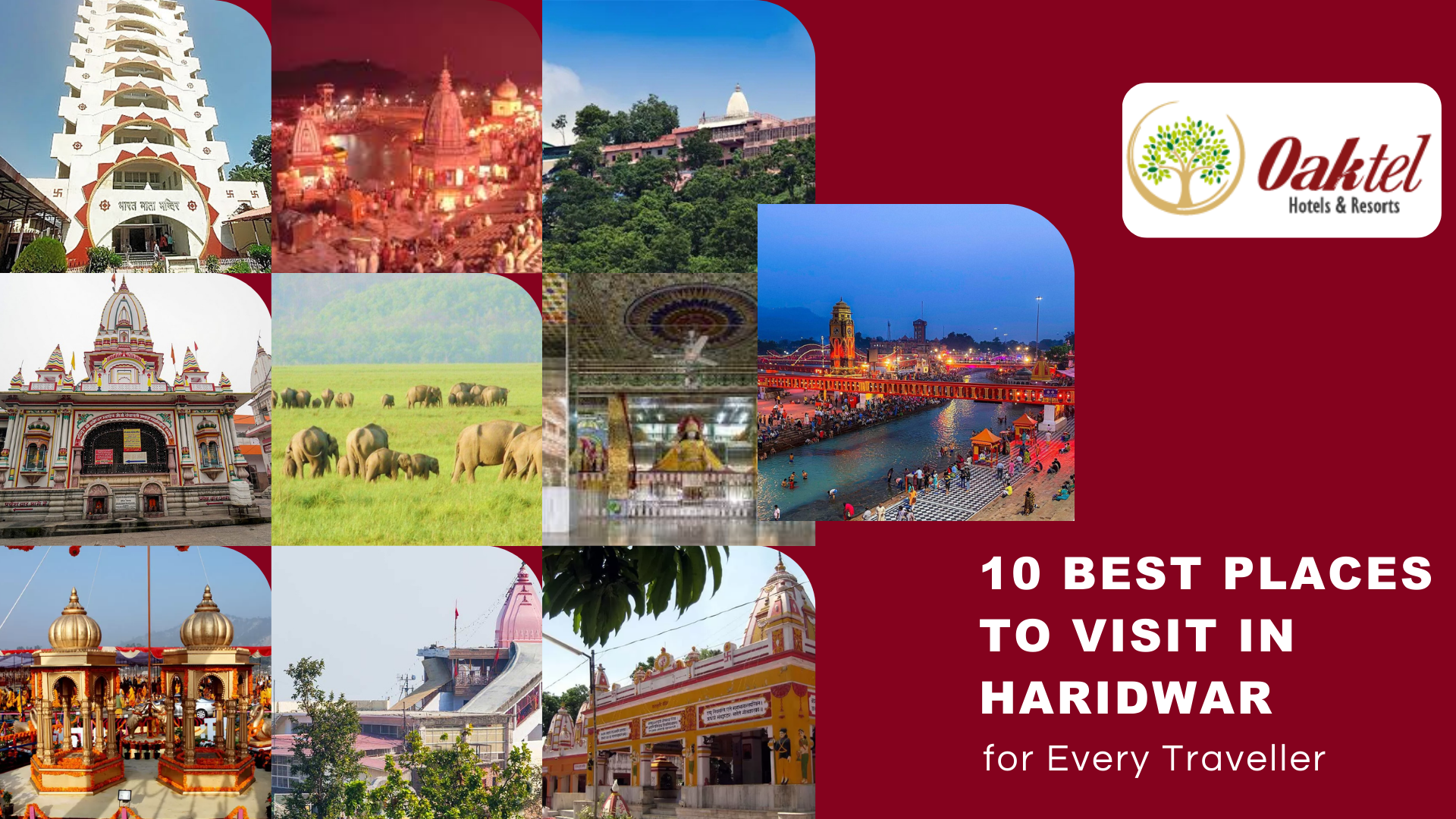 10 Best Places to Visit in Haridwar